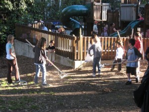 img_2809 img_2809